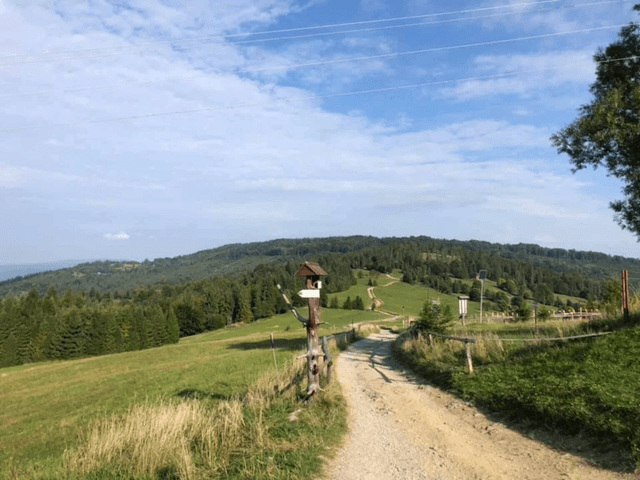 Hala Boracza (851 m n.p.m.)